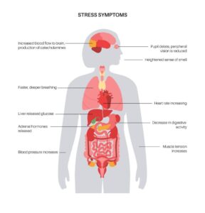কেন সারাক্ষণ দুশ্চিন্তা হয়? জানুন চাপ কমানোর ৫ উপায়